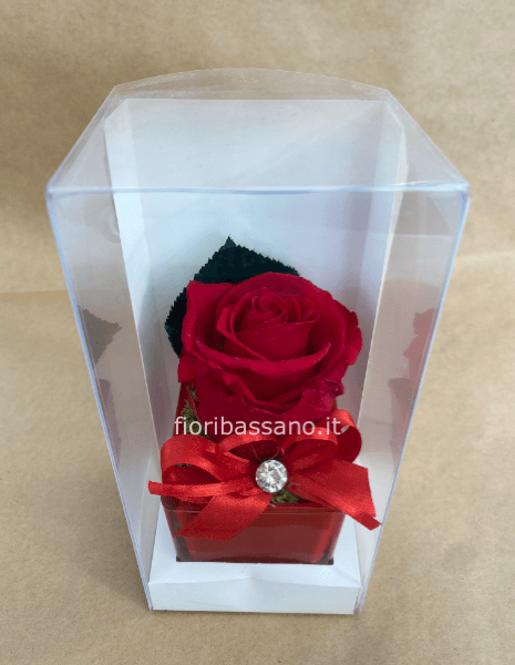 Rosa stabilizzata bocciolo